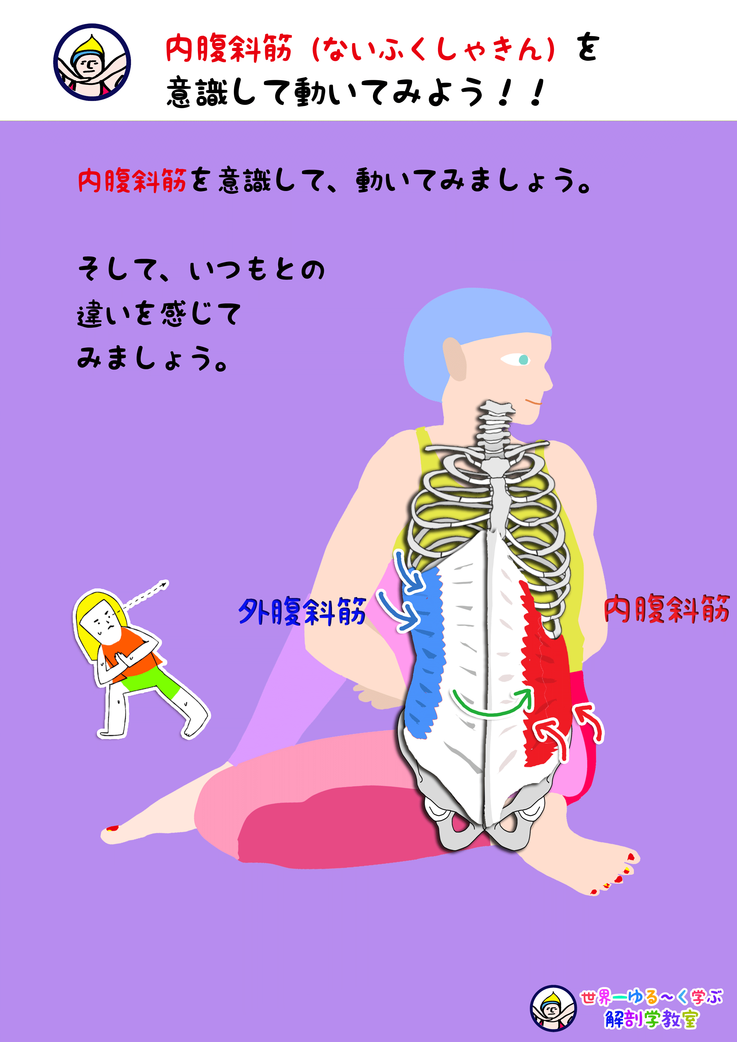 内腹斜筋 ないふくしゃきん を意識して動いてみよう Anatomy Yogaリアル解剖学教室