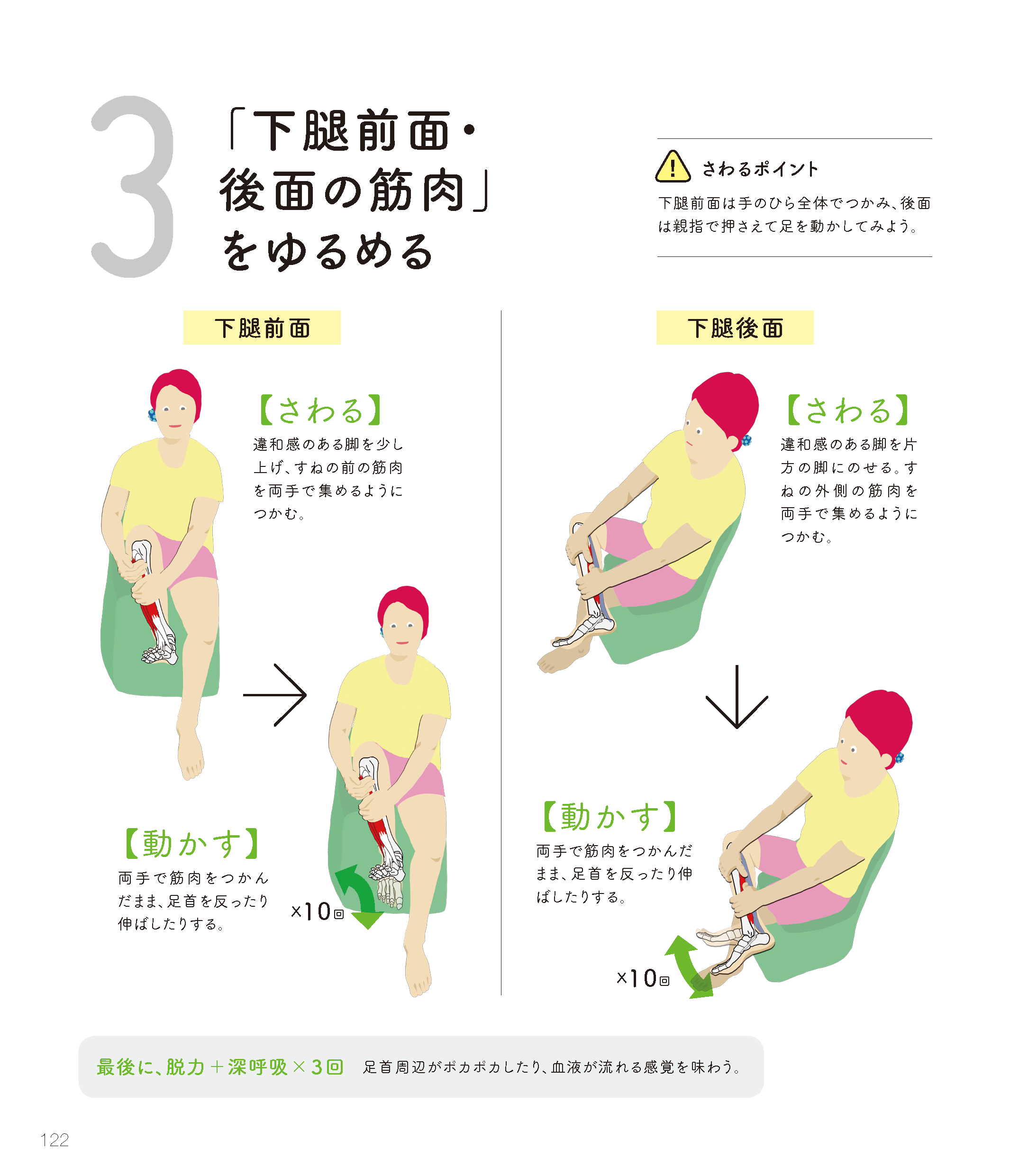 下腿前面 下腿後面の筋肉のコンディショニング リアル解剖学