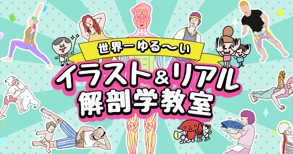 世界一ゆる く学ぶ 解剖学 イラスト リアル解剖学教室 Anatomy Yogaリアル解剖学教室